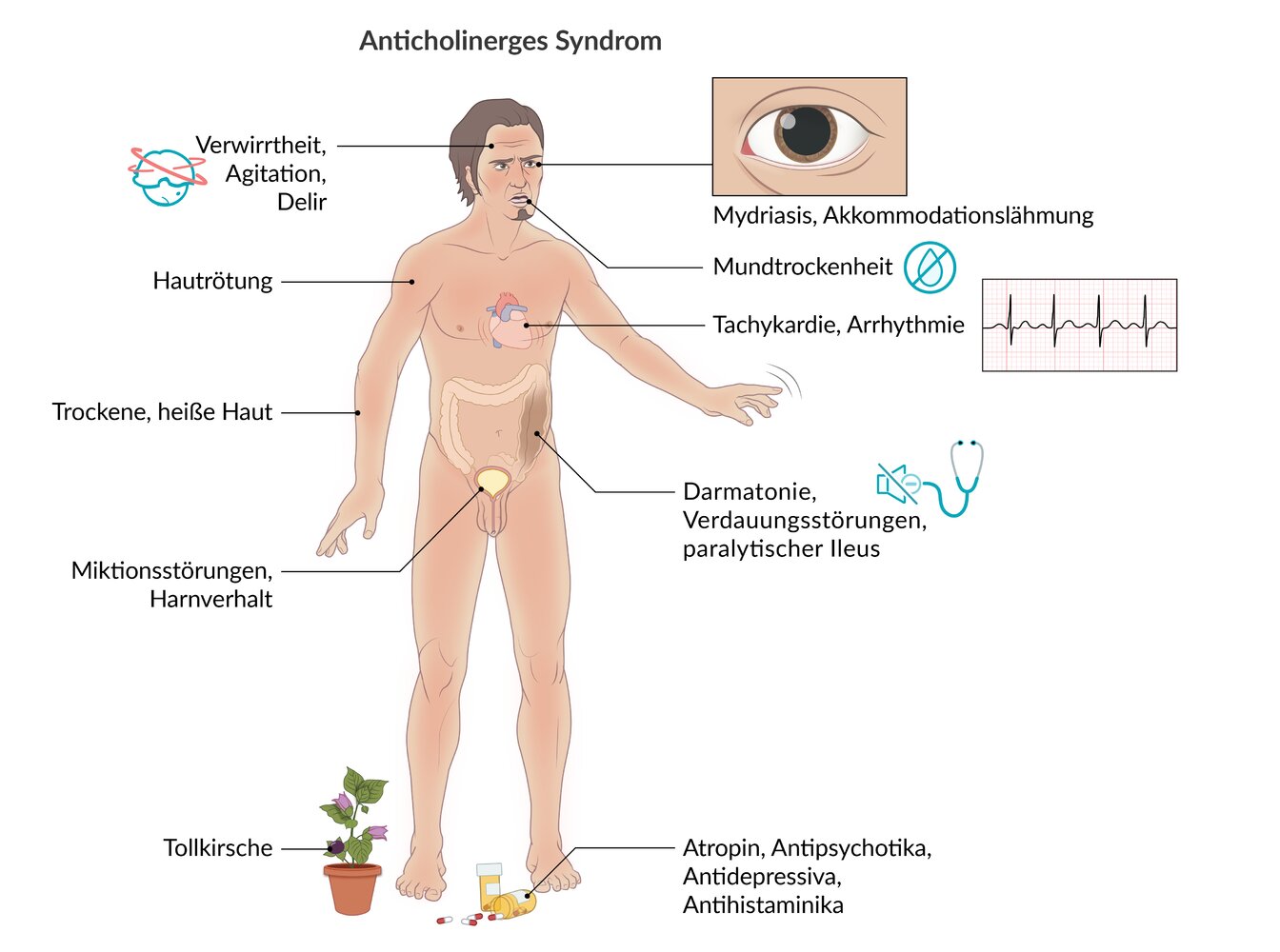 Bilder und Anhänge/big_65f820468af102.29539628.jpg