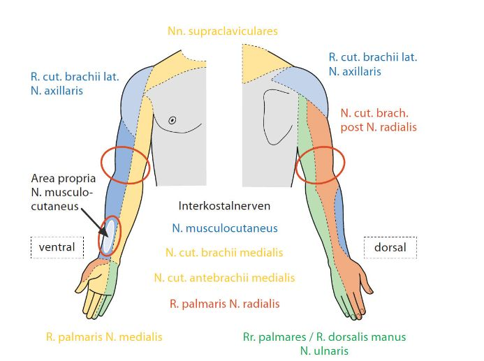 Pasted image 20250811202521.png