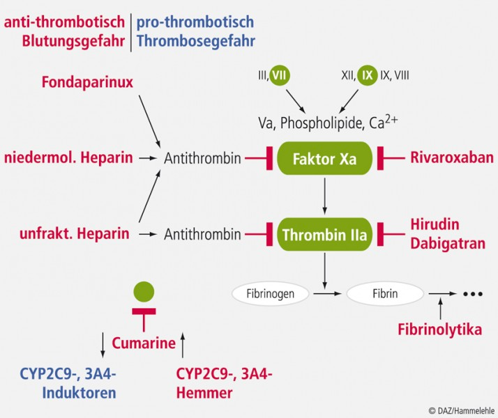 Pasted image 20250710115528.png